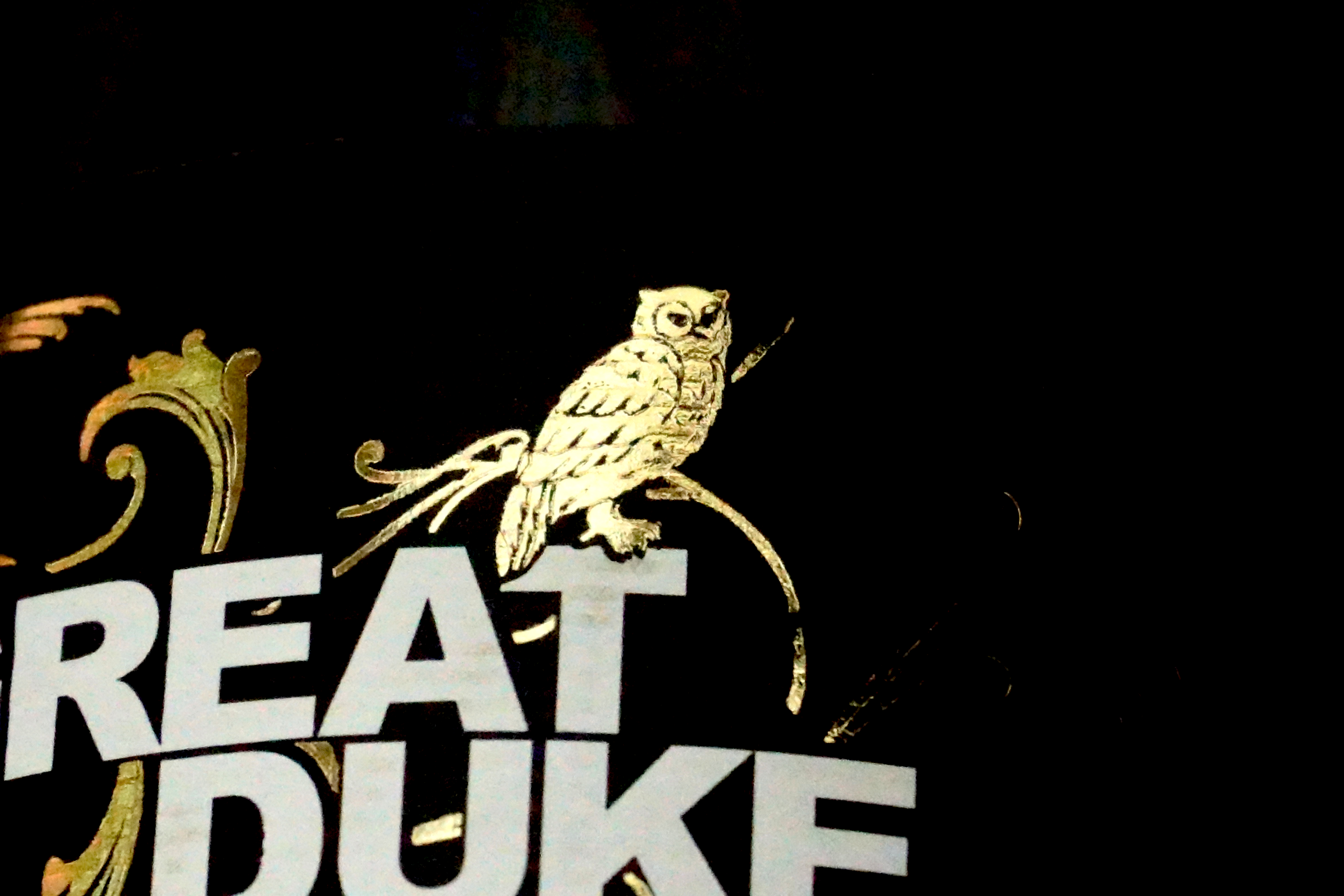 an owl